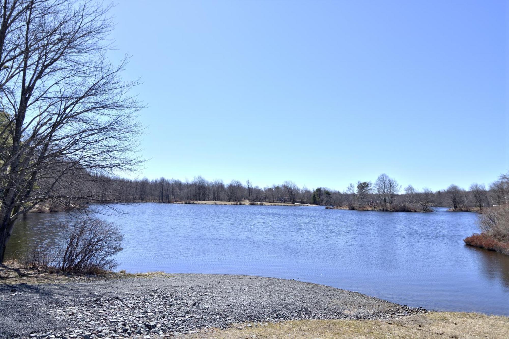 Lakehouse *Hottub*Jacuzzi*Firepit*Bbq*Pool Long Pond Екстериор снимка